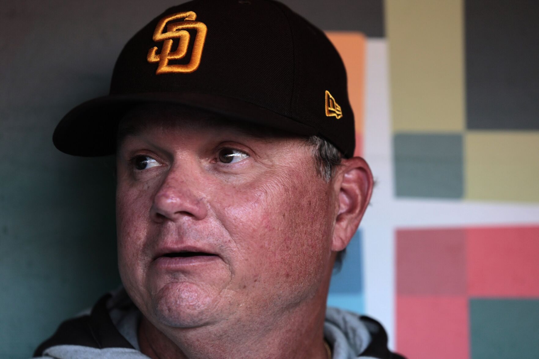 A season and one playoff appearance under his belt, Mike Shildt is at home with the Padres
